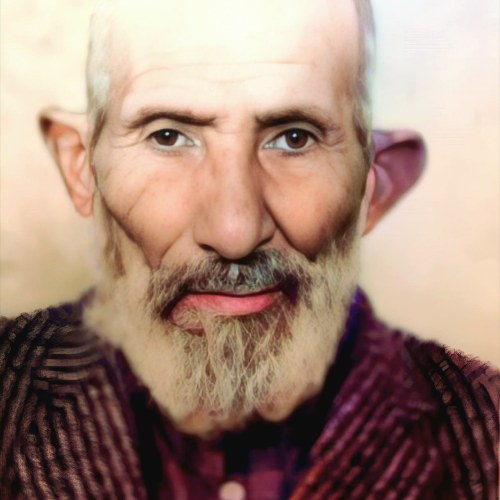 Halil ALKIŞ