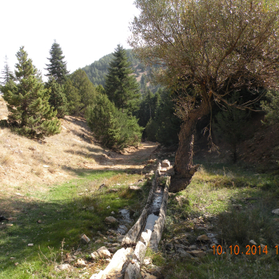 Almanın Pınarı